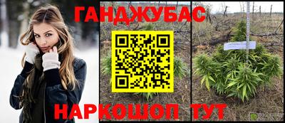 амф Можга