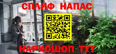 амф Можга