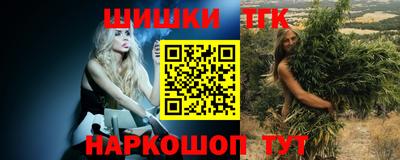 сатива Нальчик